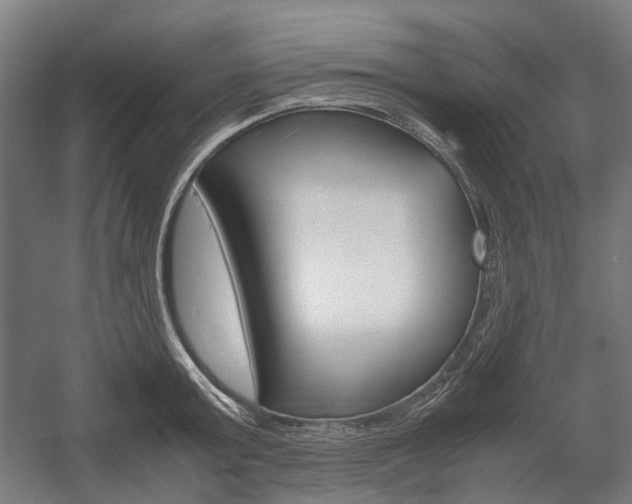X0000058100803200509230752