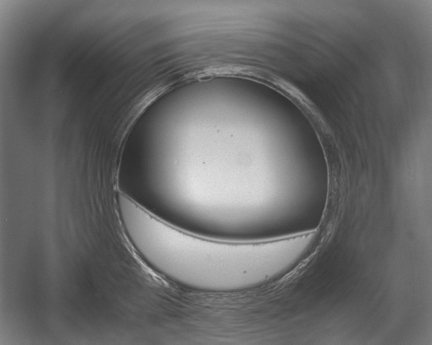 X0000058100809200509230752
