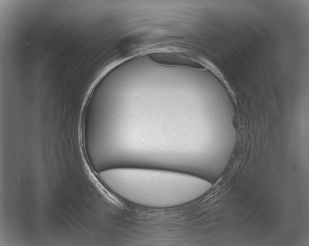 X0000058100811200509230752