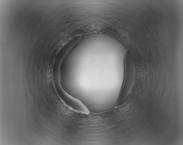 X0000058100818200509230751
