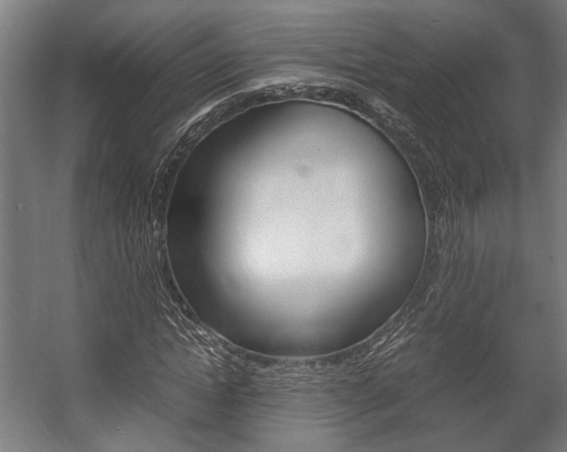 X0000058100822200509230751