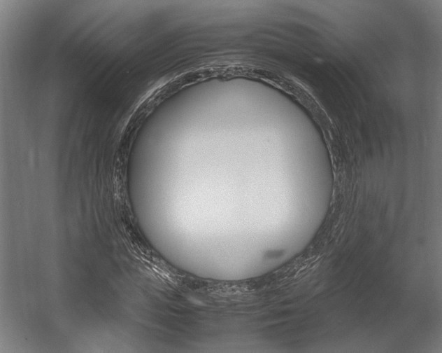 X0000058100823200509230751
