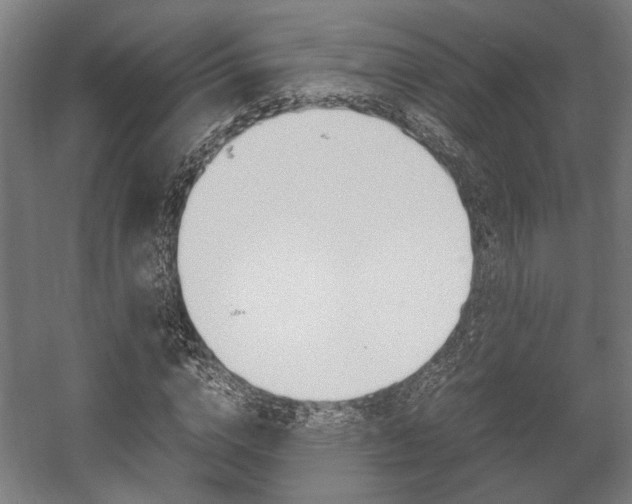 X0000058100824200509230752