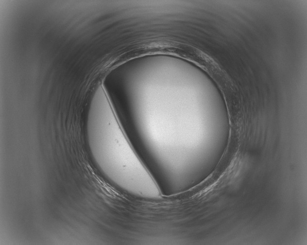 X0000058100825200509230752