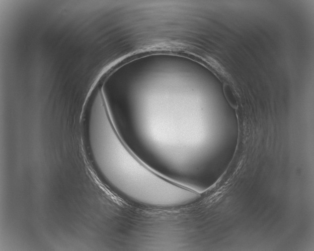 X0000058100838200509230752