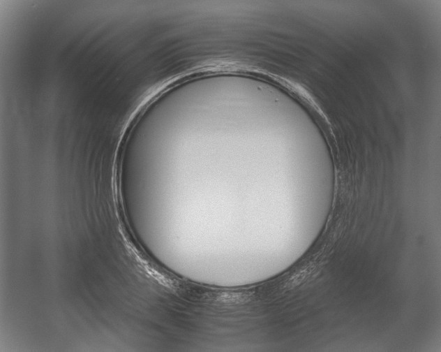 X0000058100839200509230752