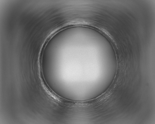 X0000058100840200509230752