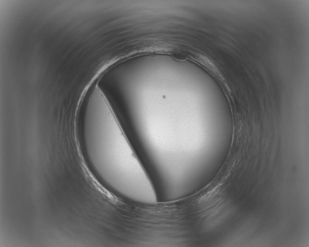 X0000058100843200509230752