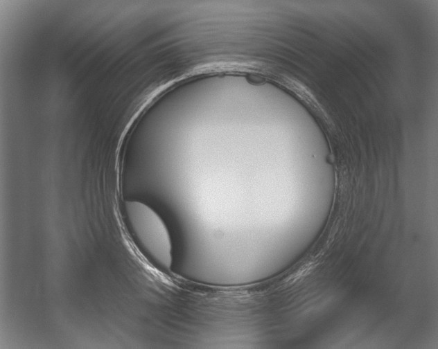 X0000058100844200509230752