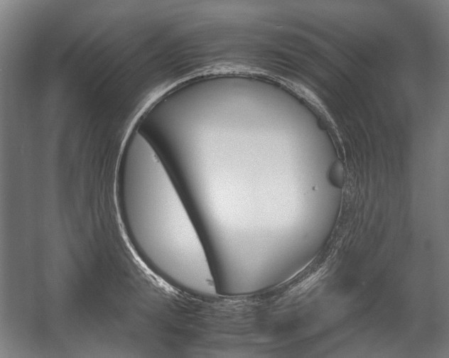 X0000058100847200509230752
