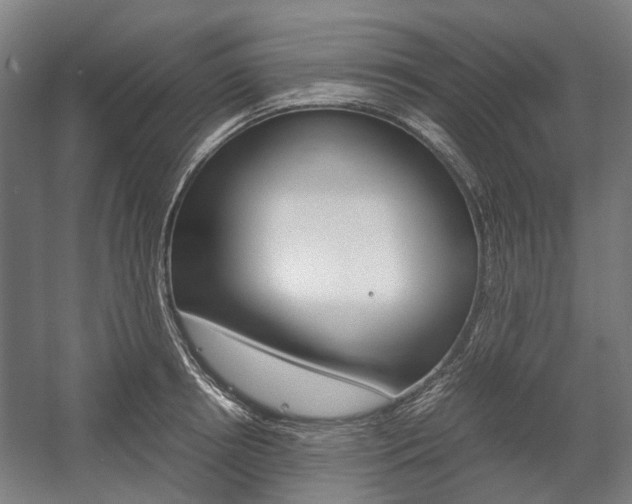 X0000058100850200509230752