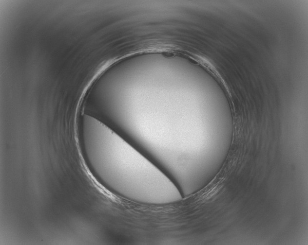 X0000058100851200509230752