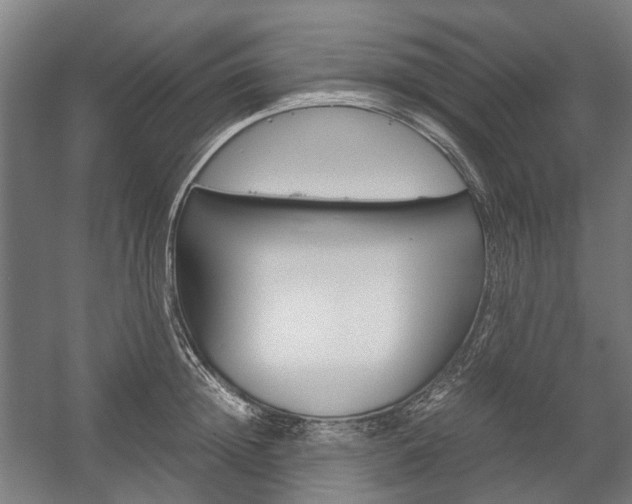 X0000058100852200509230752