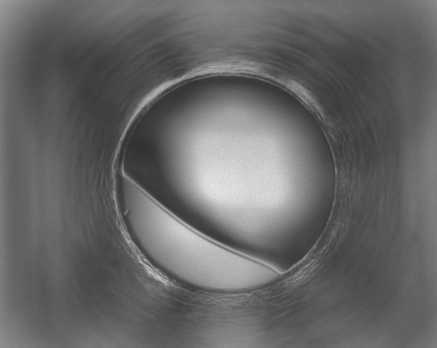 X0000058100854200509230752