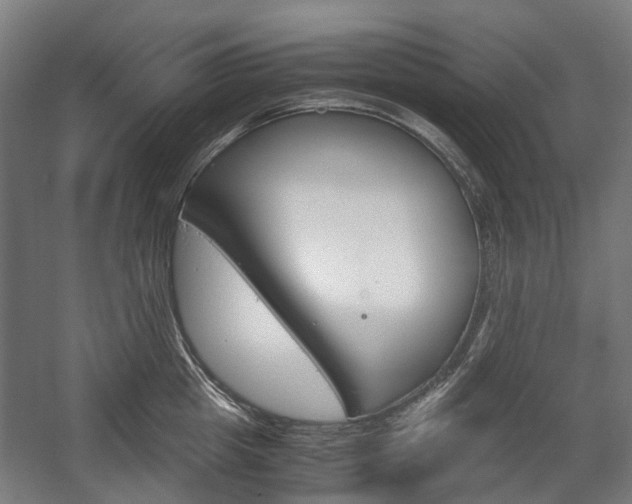 X0000058100857200509230752