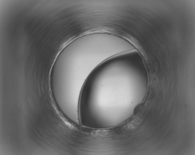 X0000058100858200509230752