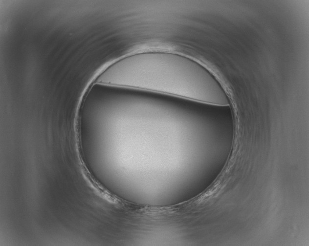 X0000058100864200509230752