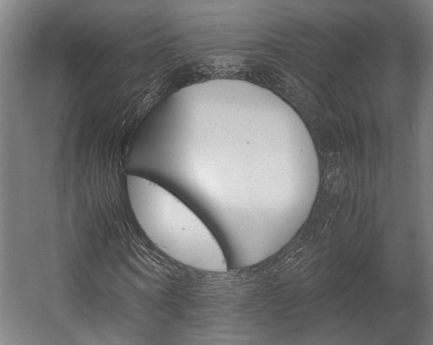 X0000058100866200509230751
