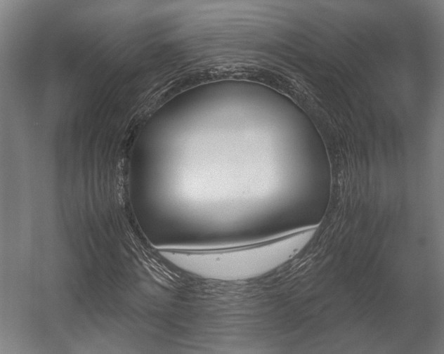 X0000058100868200509230751