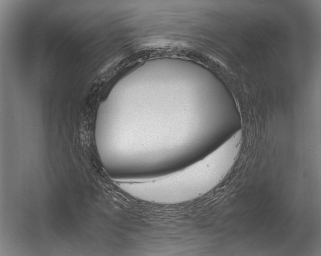 X0000058100869200509230751