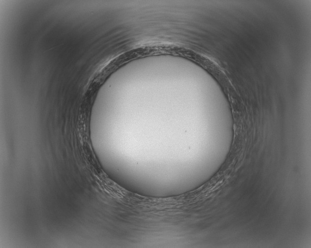 X0000058100871200509230751