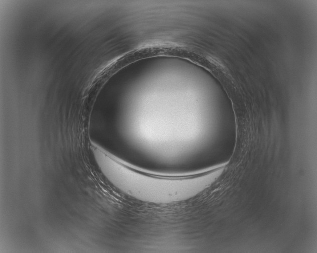 X0000058100872200509230751