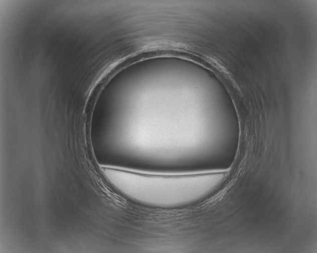 X0000058100877200509230751
