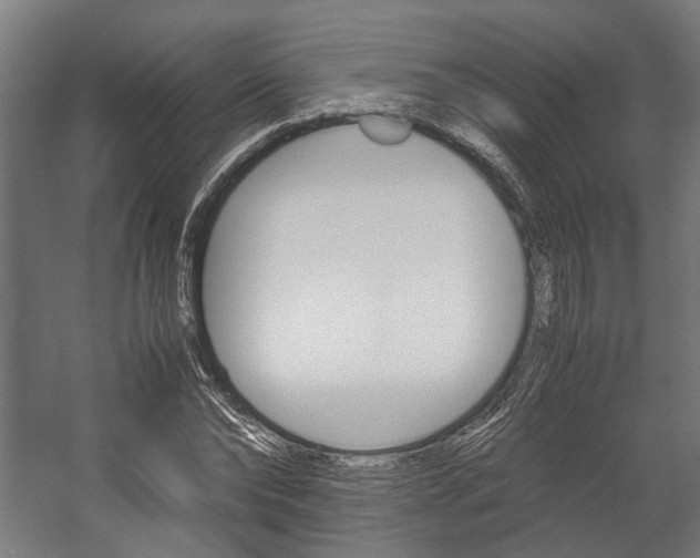 X0000058100878200509230751