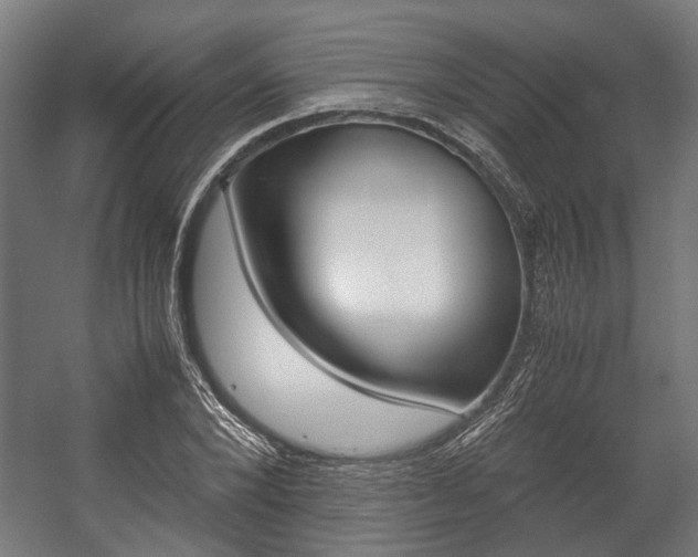 X0000058100880200509230751