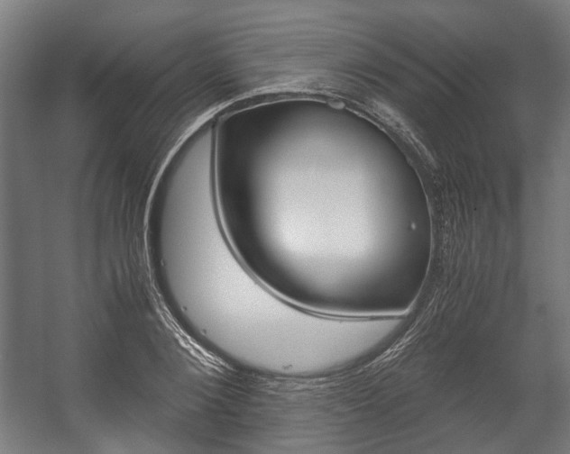 X0000058100884200509230751