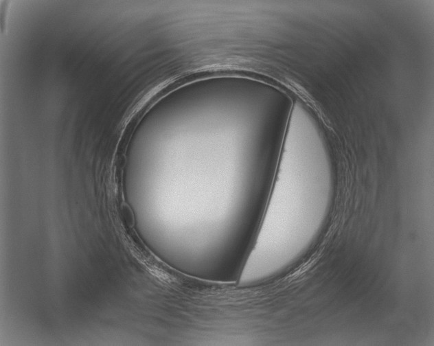 X0000058100885200509230751