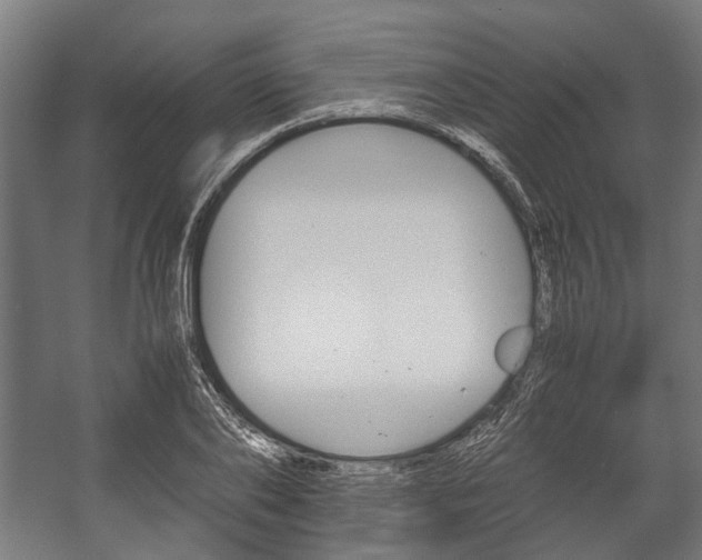 X0000058100886200509230751