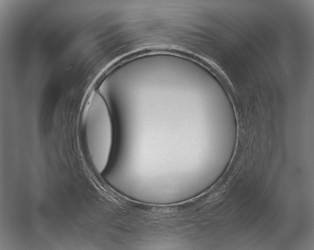 X0000058100887200509230751