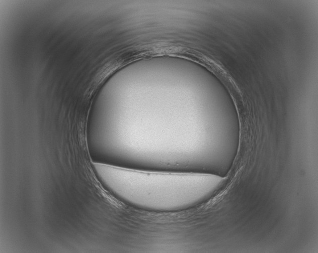 X0000058100889200509230751
