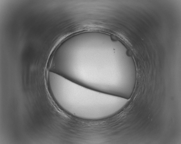 X0000058100891200509230751