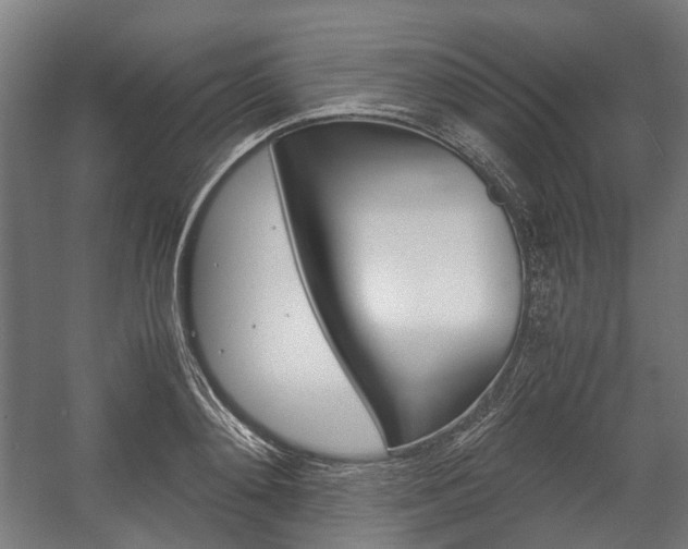 X0000058100892200509230751