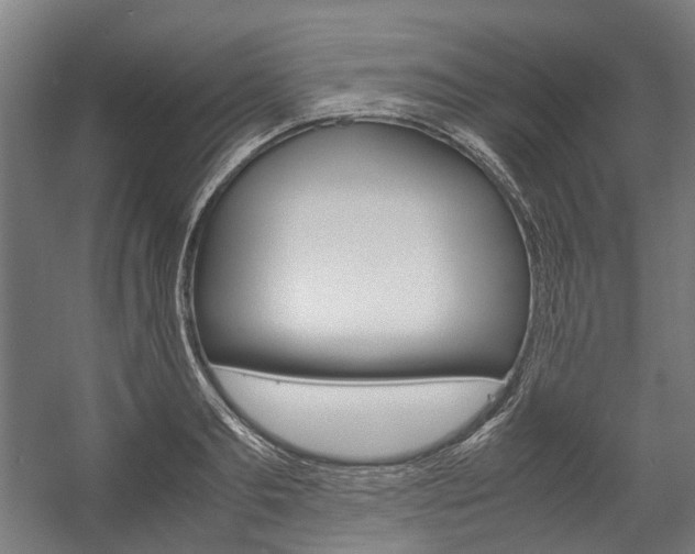 X0000058100893200509230751