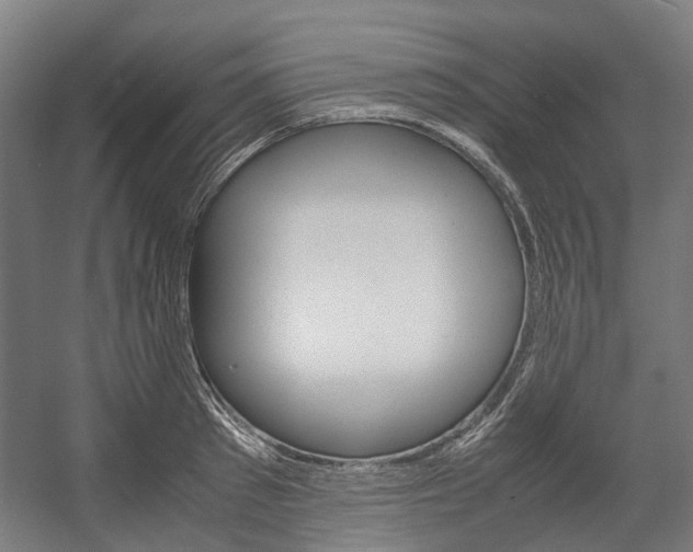 X0000058100897200509230751