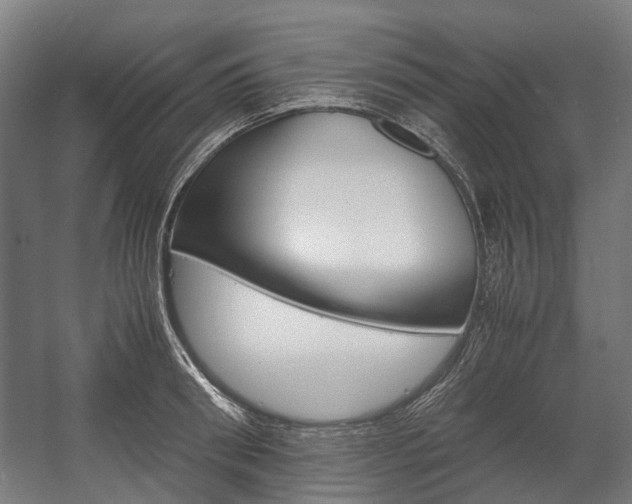 X0000058100898200509230751