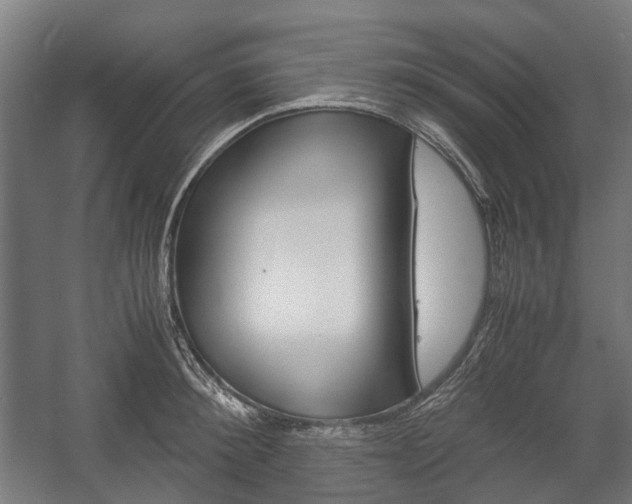 X0000058100900200509230751
