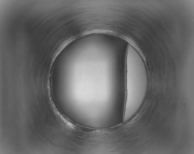 X0000058100906200509230751