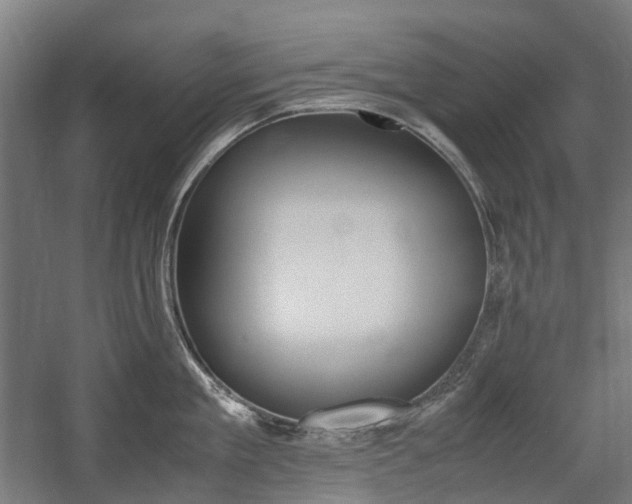X0000058100909200509230751