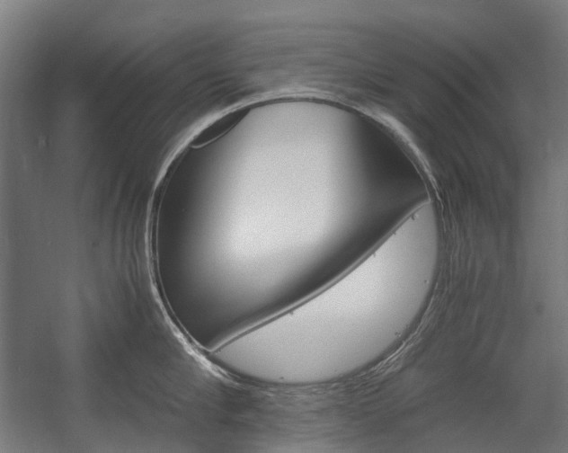 X0000058100910200509230751