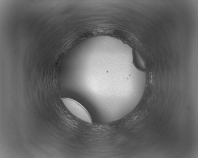 X0000058100915200509230750