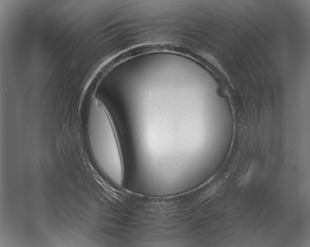 X0000058100927200509230750