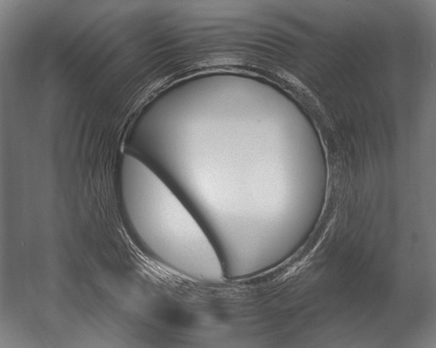 X0000058100929200509230750