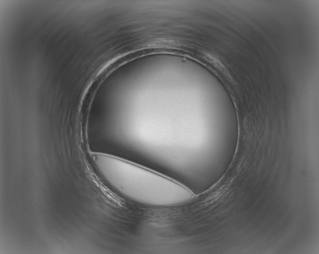 X0000058100931200509230750