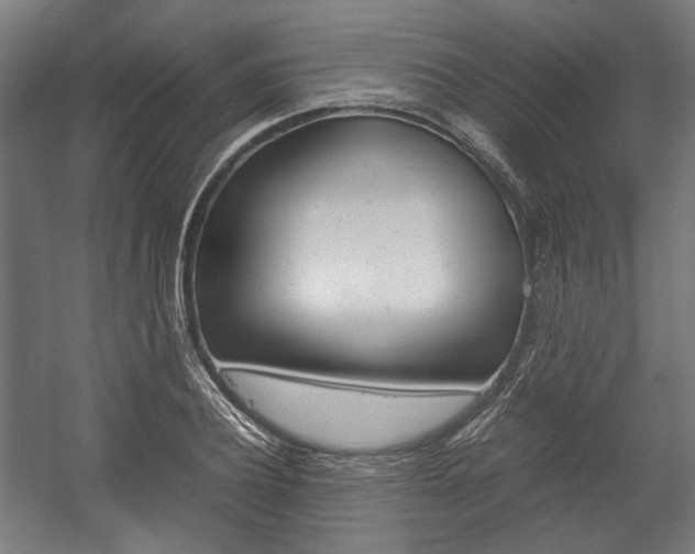 X0000058100932200509230750