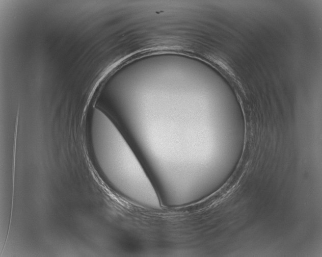 X0000058100933200509230750