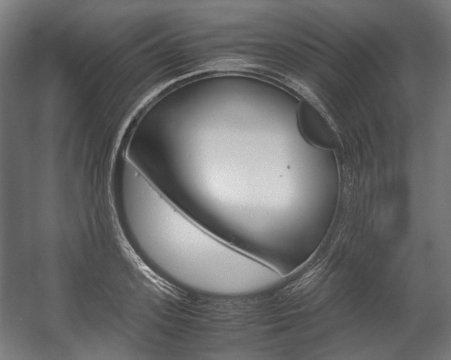 X0000058100939200509230750